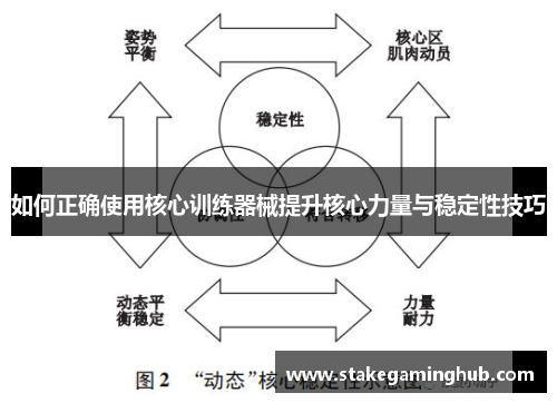 如何正确使用核心训练器械提升核心力量与稳定性技巧